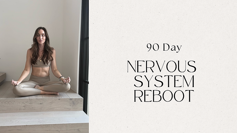 90 Day Nervous System Reboot