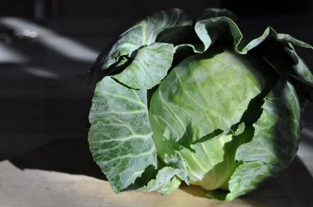 French White Bean and Cabbage Soup