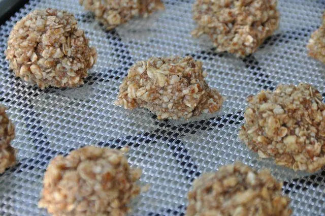 Raw Oatmeal Cookies