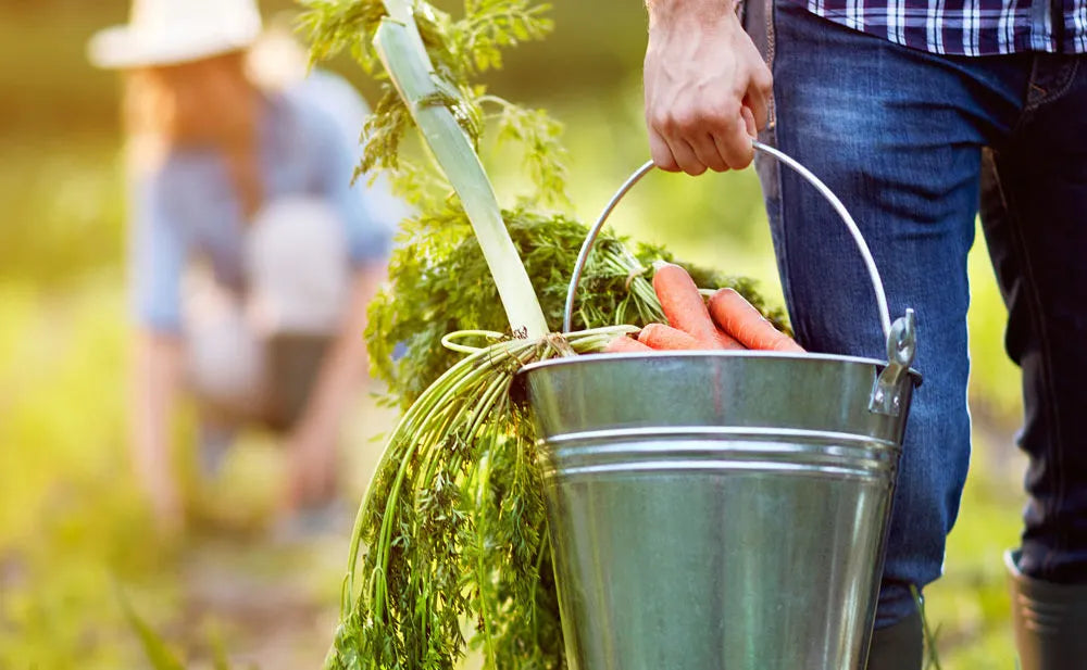 Why Eating Organic & Avoiding Glyphosate Matters – Maybe More Than Anything Else You Do