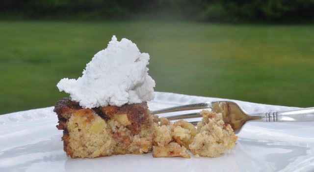 Photo of grain-free coffee Cake